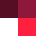 Patrón Beet One